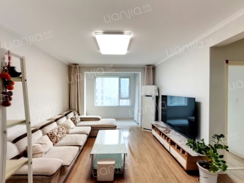 整租·唐岛ONE 2室1厅 南/北