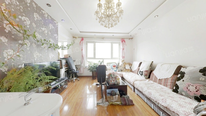 美丽洋房小区二手房实景图