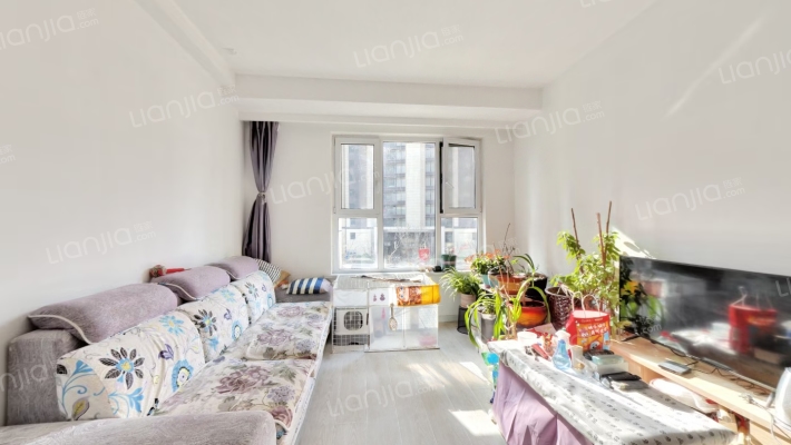 金科集美郡二期二手房实景图