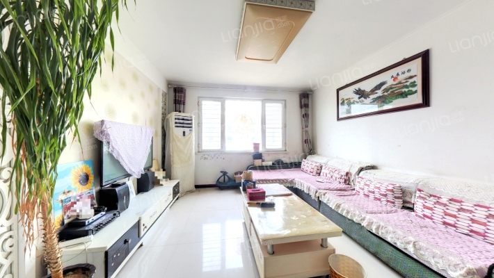 华阳路 精装南北通透三居 高楼层采光好-客厅