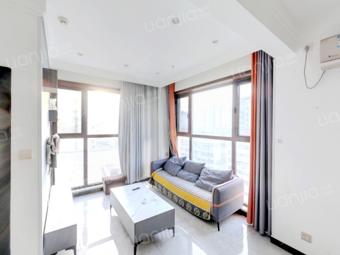 整租·蓝湖中央广场 1室1厅 南