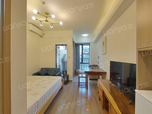 整租·卓越中寰 1室0厅 南