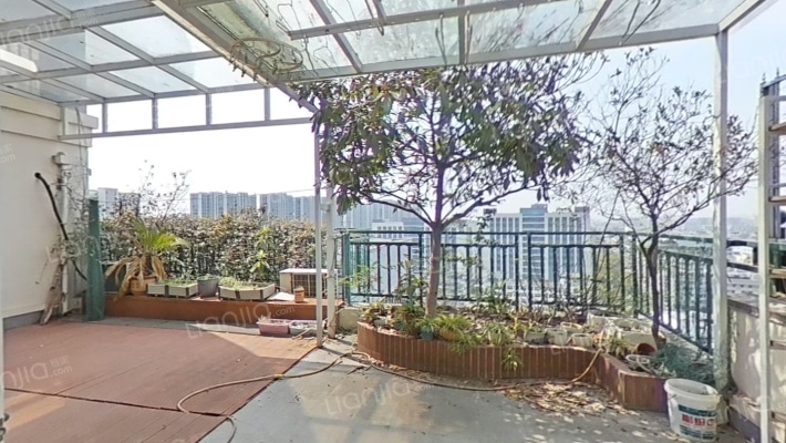 新科花园A区二手房实景图