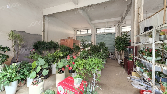 农副产品市场二手房实景图