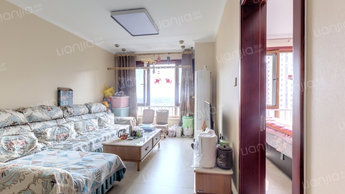 精装修 带家具家电 高楼层 满二 前面无楼 南向随时看-客厅