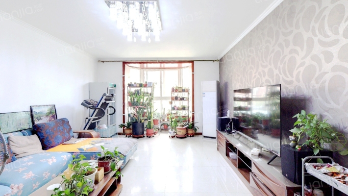 德信公园南侧，板楼大社区，名流枫景洋房三居室-客厅