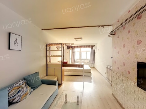 整租·台东六路 1室1厅 南/北