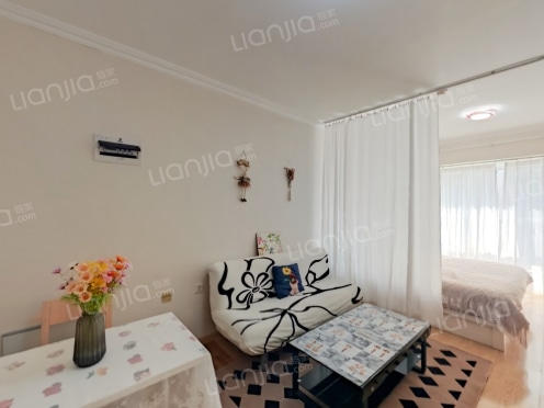 整租·TAHA时区 1室1厅 南