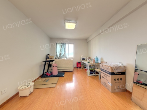 整租·凤麟府 1室1厅 南