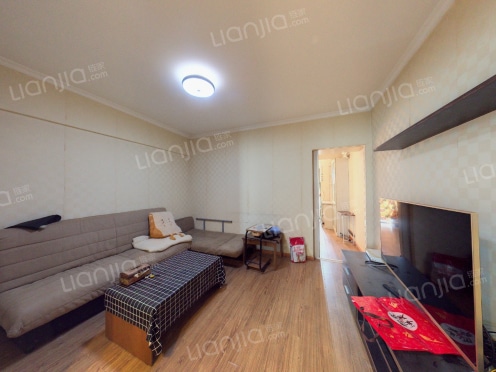 整租·金城地豪 1室1厅 南