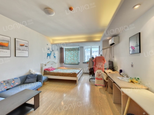 整租·银领国际 1室1厅 北