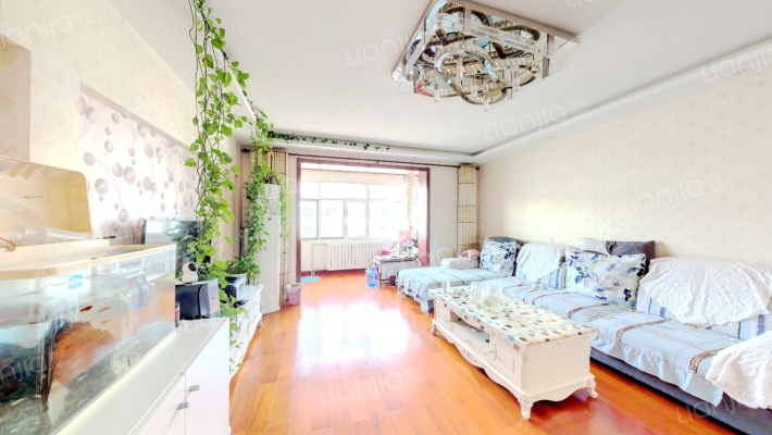 翠湖新村二手房实景图