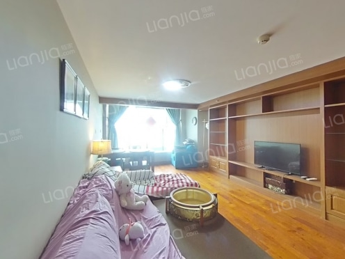 整租·中南金石国际广场 2室2厅 西