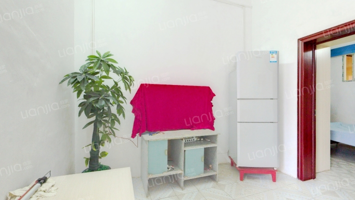 恒达公司家属院二手房实景图