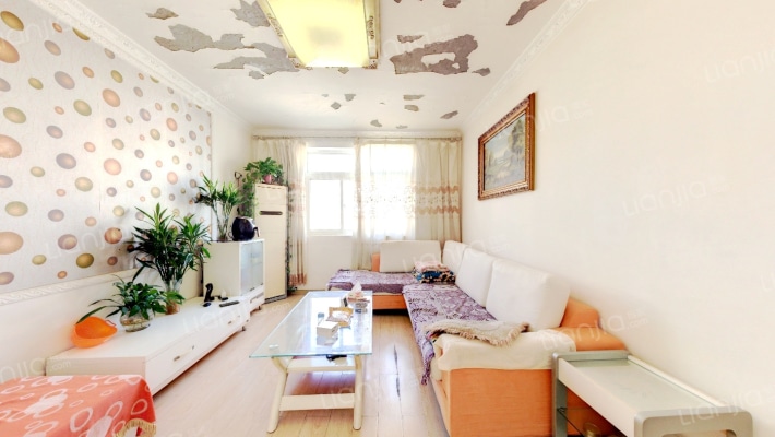 百文花园南区二手房实景图