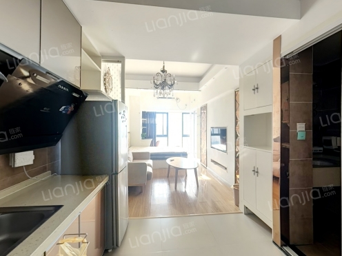 整租·中建 · 岳阳中心 1室0厅 南