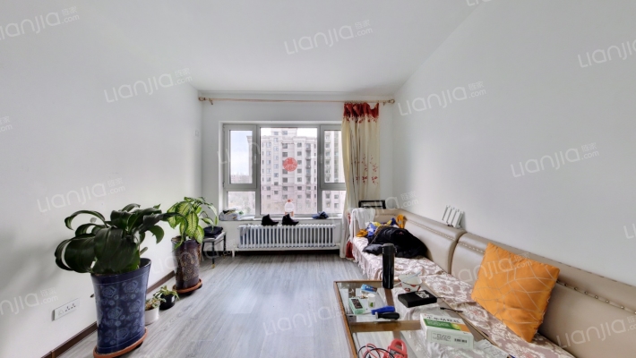 顺迈欣郡一期二手房实景图