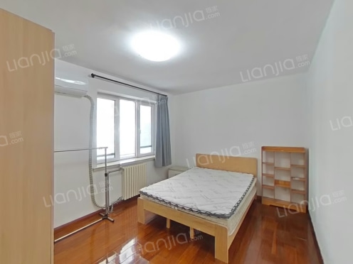 整租·中环国际广场 1室1厅 南