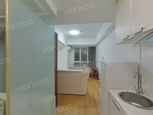 整租·万达39克拉 1室0厅 西