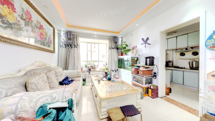 新钢苑小区二手房实景图