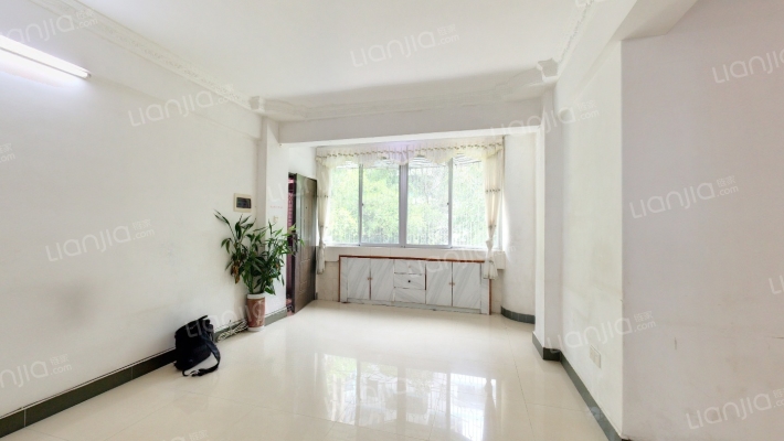 椰树小区二手房实景图