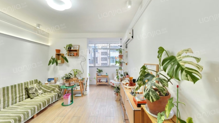 金寨路宿舍308号二手房实景图