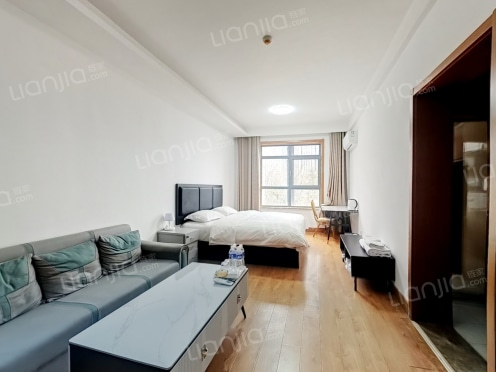 整租·天业龙奥天街 1室1厅 南