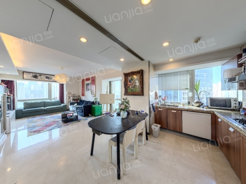 整租·凯悦中心 2室1厅 西