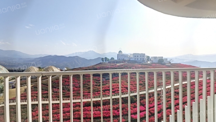 金杯半山米易太阳谷二手房实景图