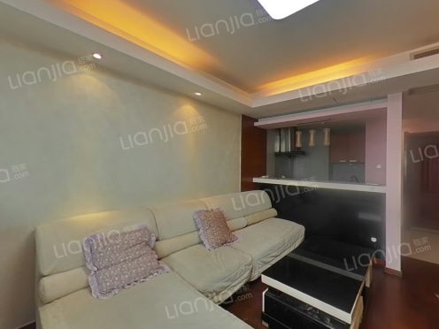 整租·达利广场 1室1厅 东南