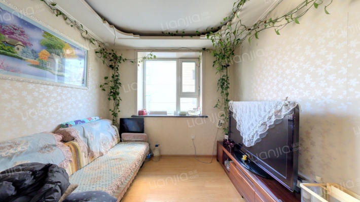 通安新居B区二手房实景图