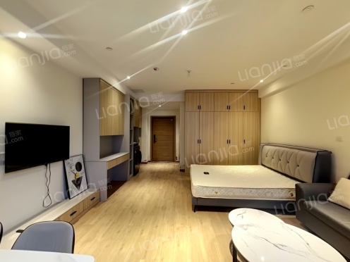 整租·时代晶座(高新) 1室0厅 南