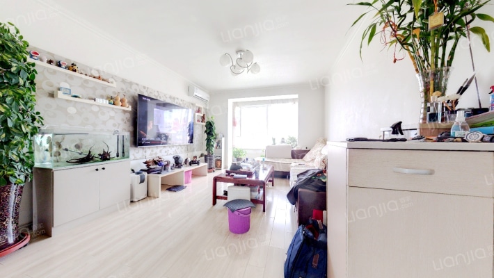 春江花月A区二手房实景图