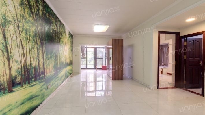 昌茂·城邦二手房实景图