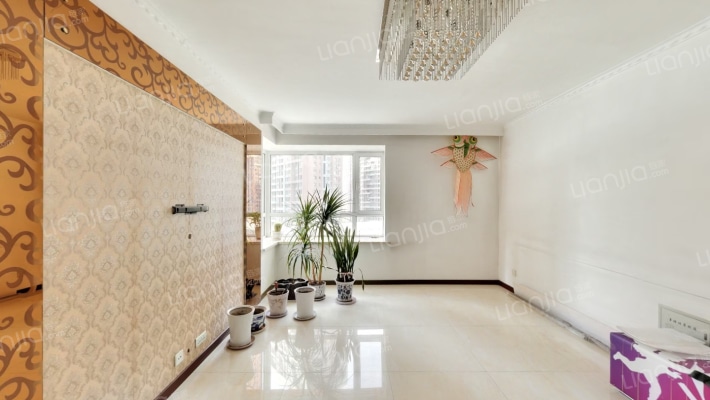 碧桂园银河城星语苑二手房实景图