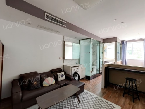 整租·世纪城梦想派 1室0厅 西南