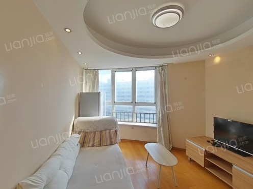 整租·达利广场 1室1厅 南