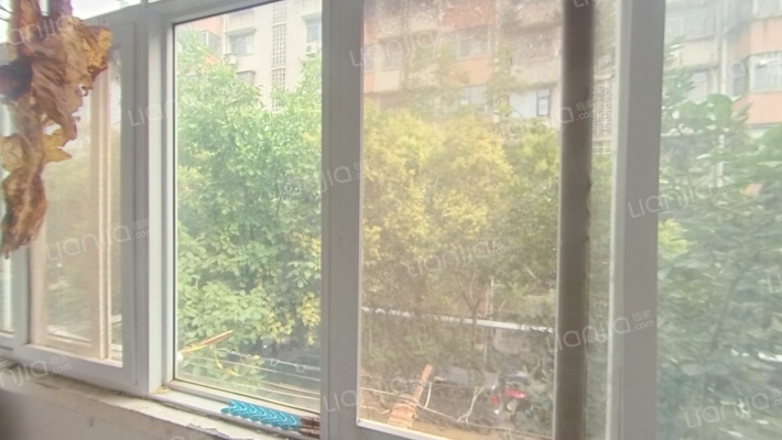 卫东区调队家属院二手房实景图