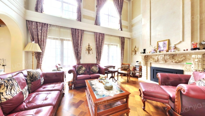 泰晤士小镇(别墅)二手房实景图