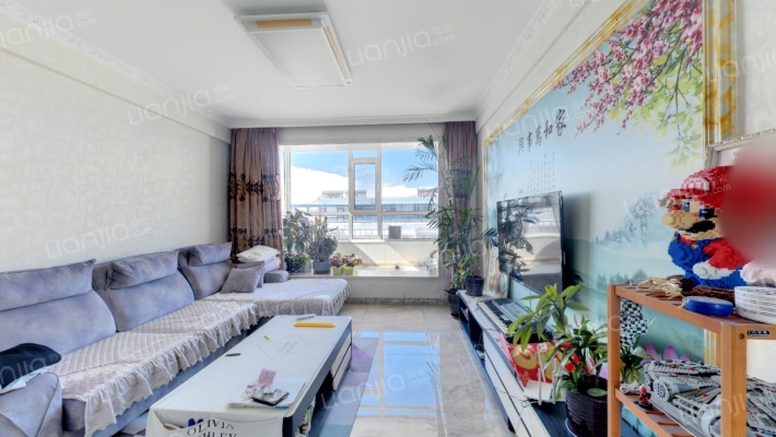 裕华园二手房实景图