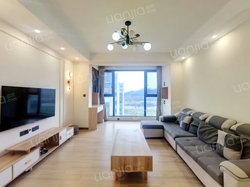 整租·华科蔚来云著 3室2厅 南