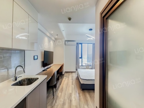 整租·中铁天圆卓越广场 1室1厅 南