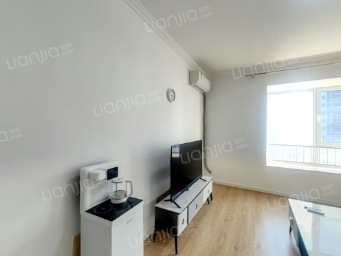 整租·中南海湾新城 1室1厅 南