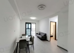 整租·正荣旭辉政务未来 2室1厅 南_正荣旭辉政务未来租房