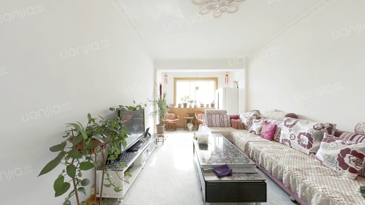 兰州市政公司家属院(五泉南路)二手房实景图