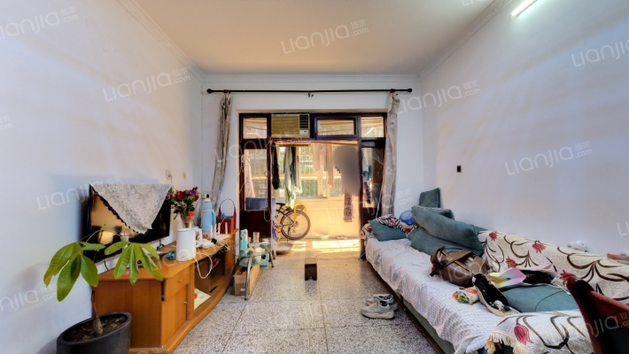 花园四村二手房实景图