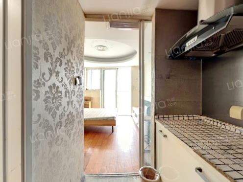 整租·达利广场 1室1厅 南