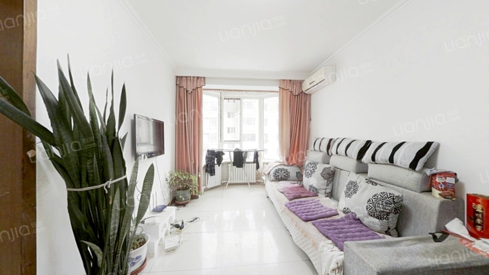 春江花月A区二手房实景图