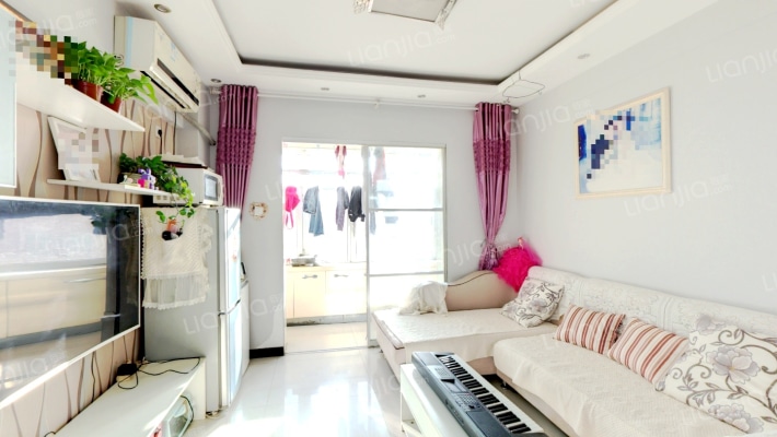 冠云路 宏远景园 一居室 税费低-客厅