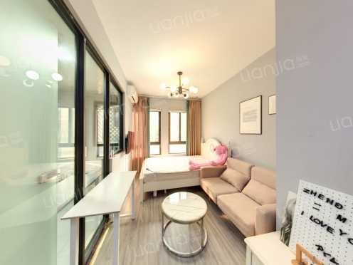 整租·力帆棠悦 1室1厅 东南